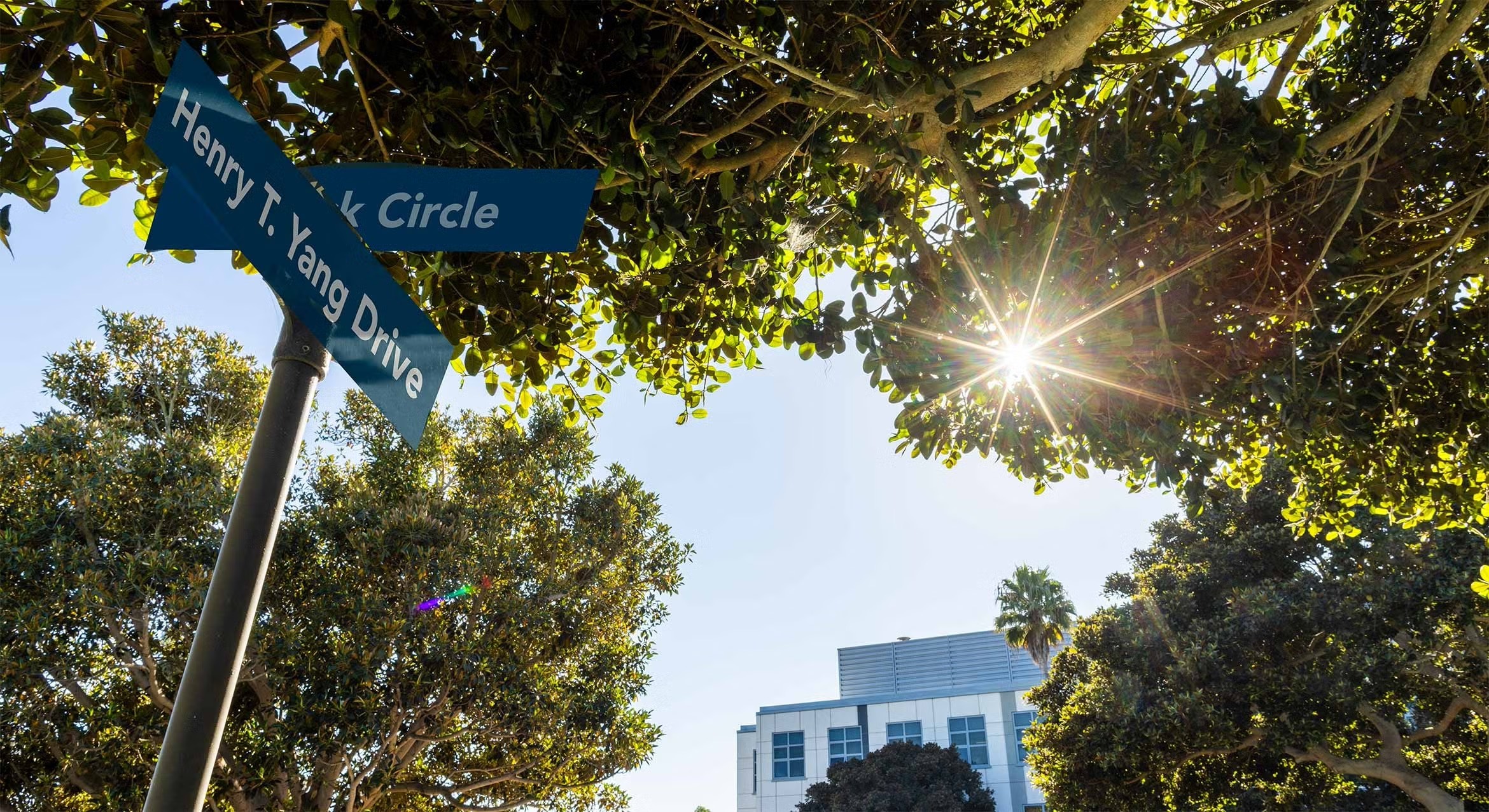 Henry Yang(street-sign)