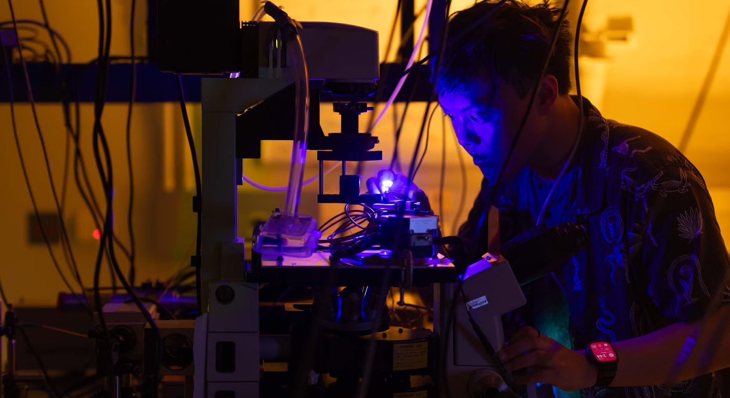 Roark Chao researches microLEDs(PERKO-2026)
